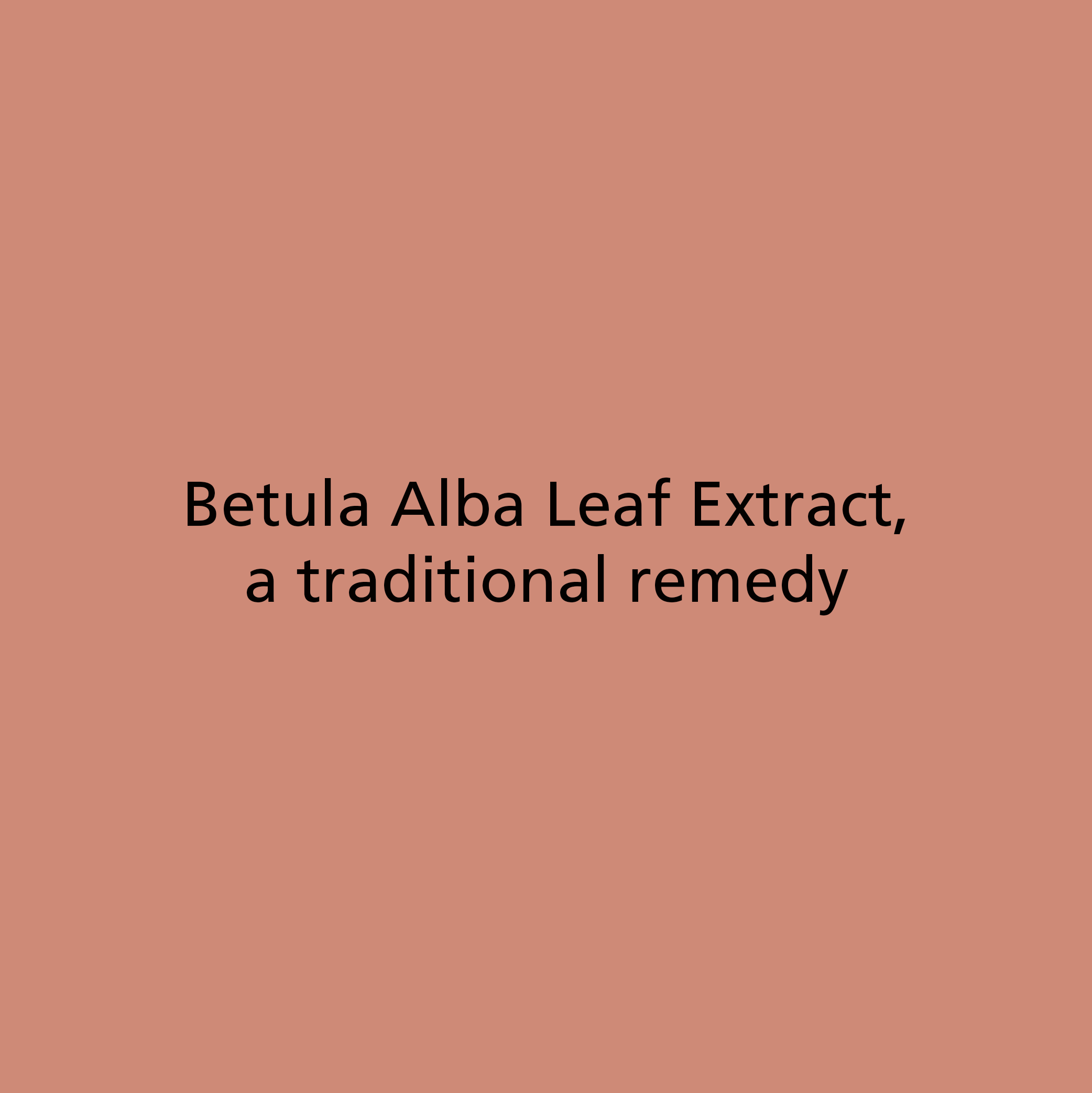 Betula Alba Leaf Extract